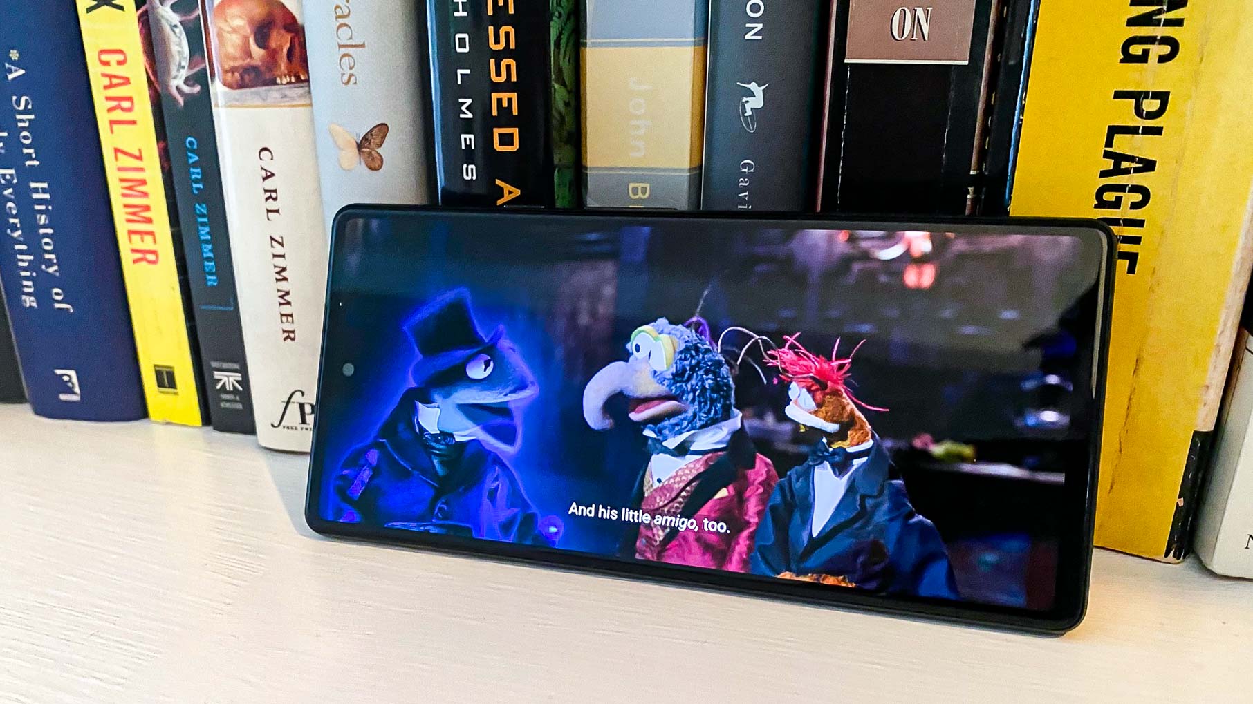 Google Pixel 6 display