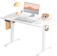 Smug Ergonomic Standing Desk