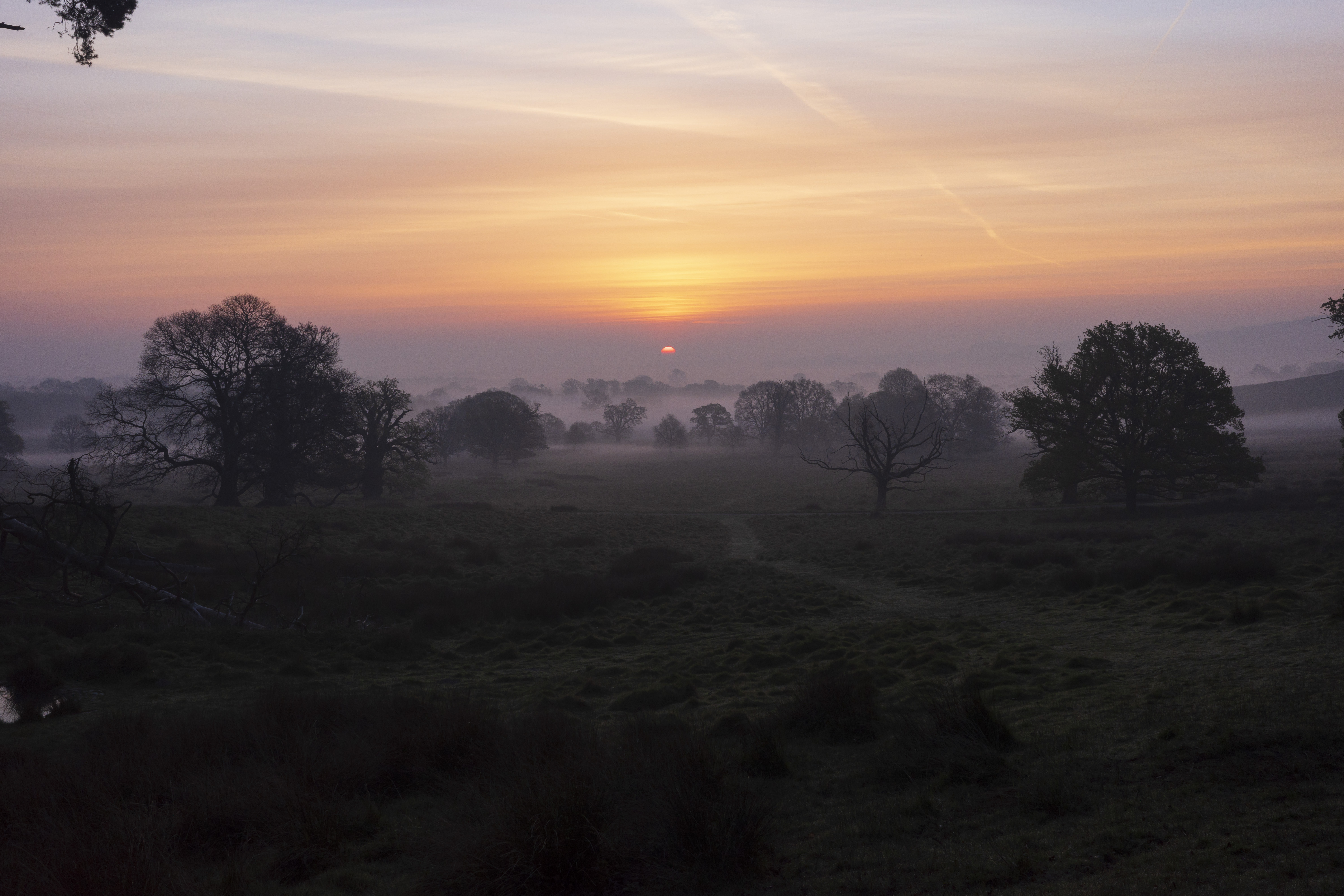A sunrise over a misty landscape