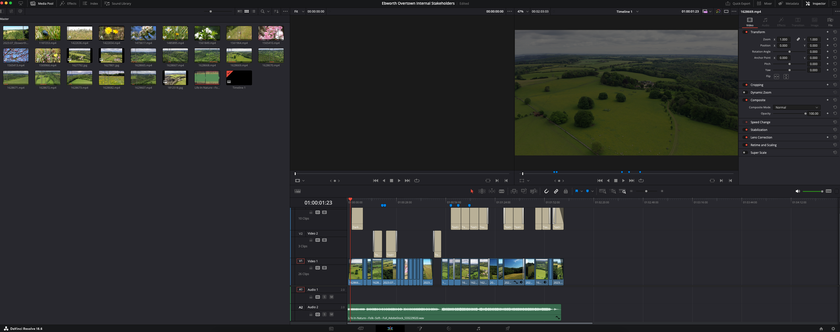 A screenshot from DaVinci Resolve 19