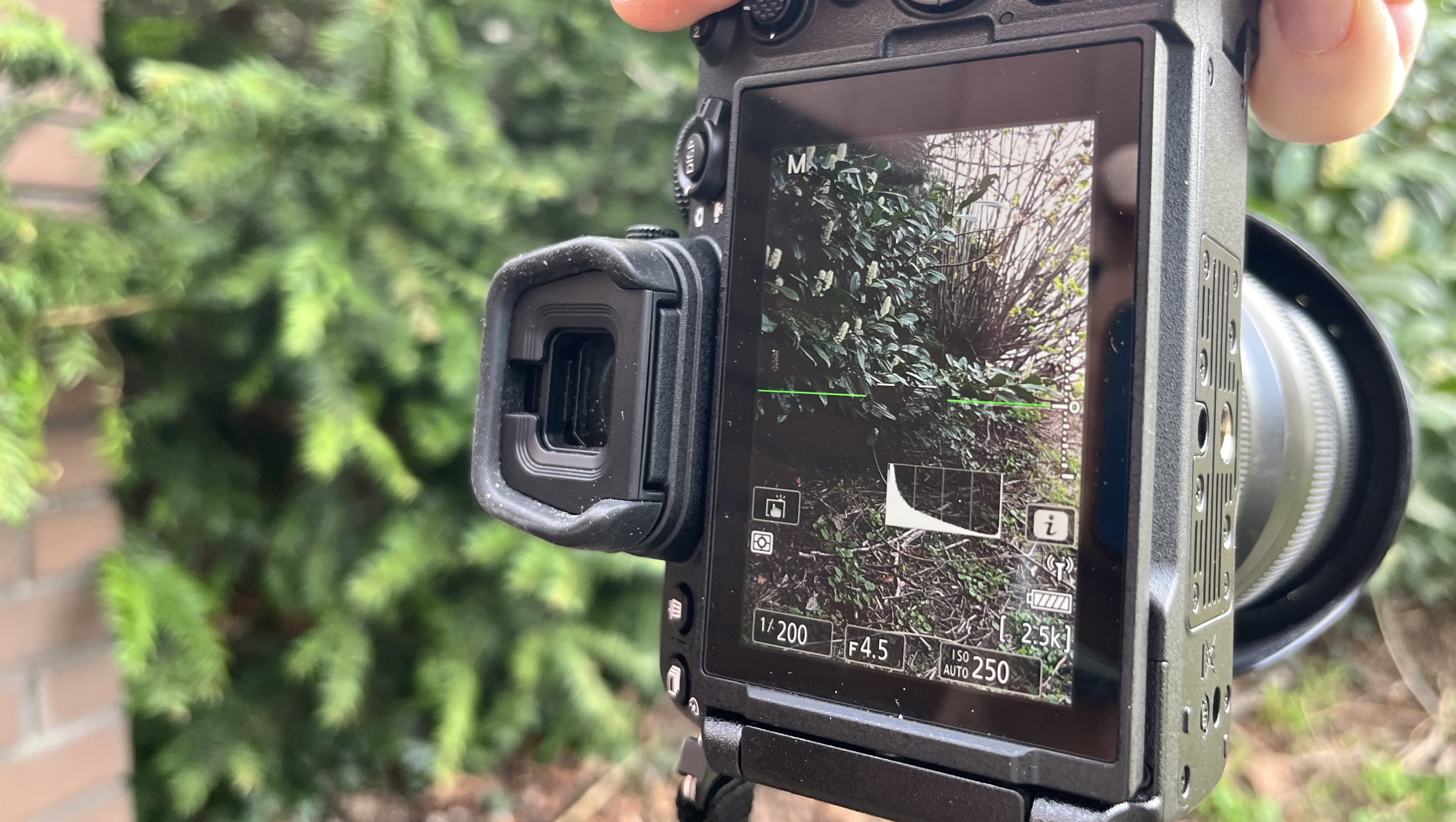 Rear of Nikon Z5 II camera showing rotated on-screen info