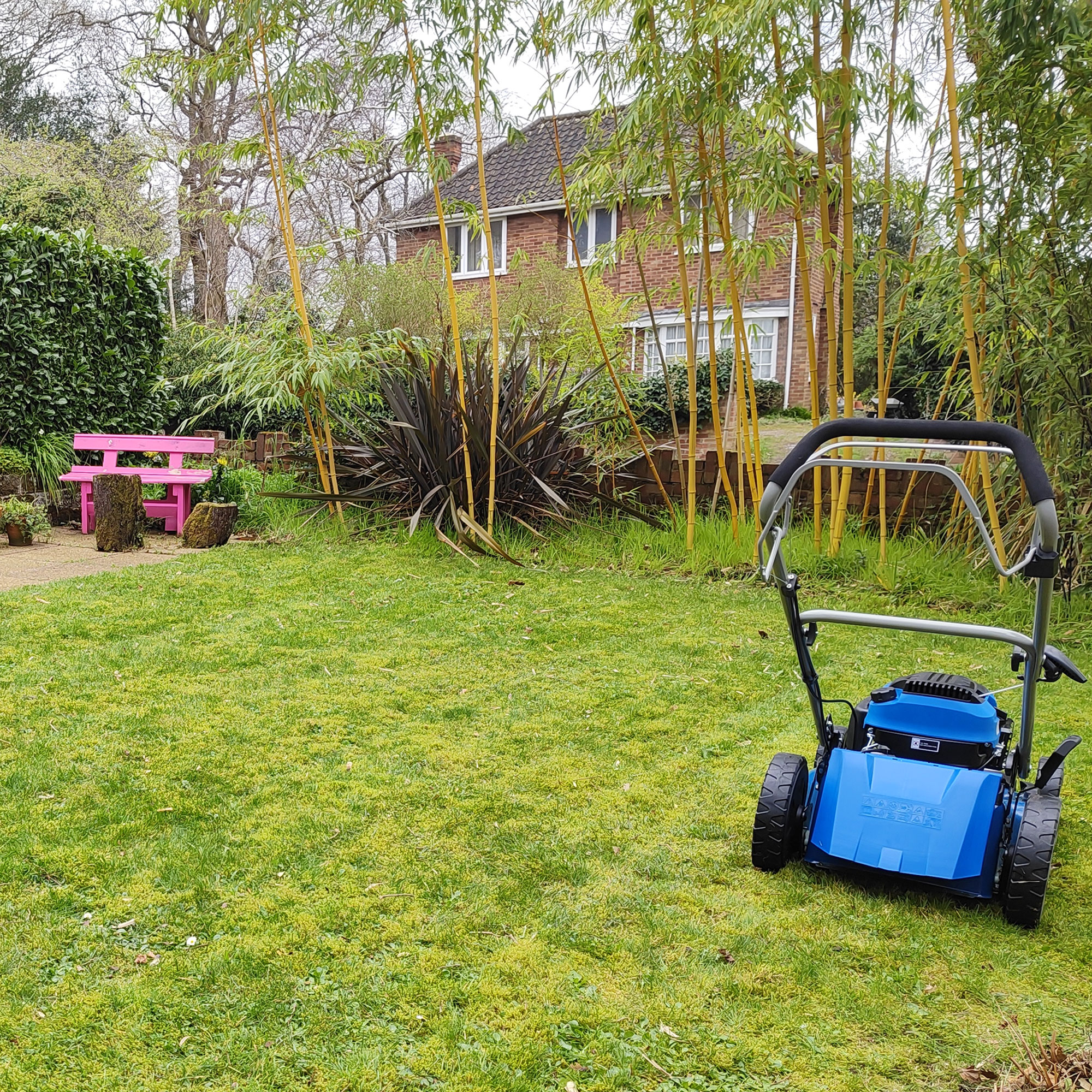 Hyundai HYM510SP Petrol Lawn Mower on a mowed lawn