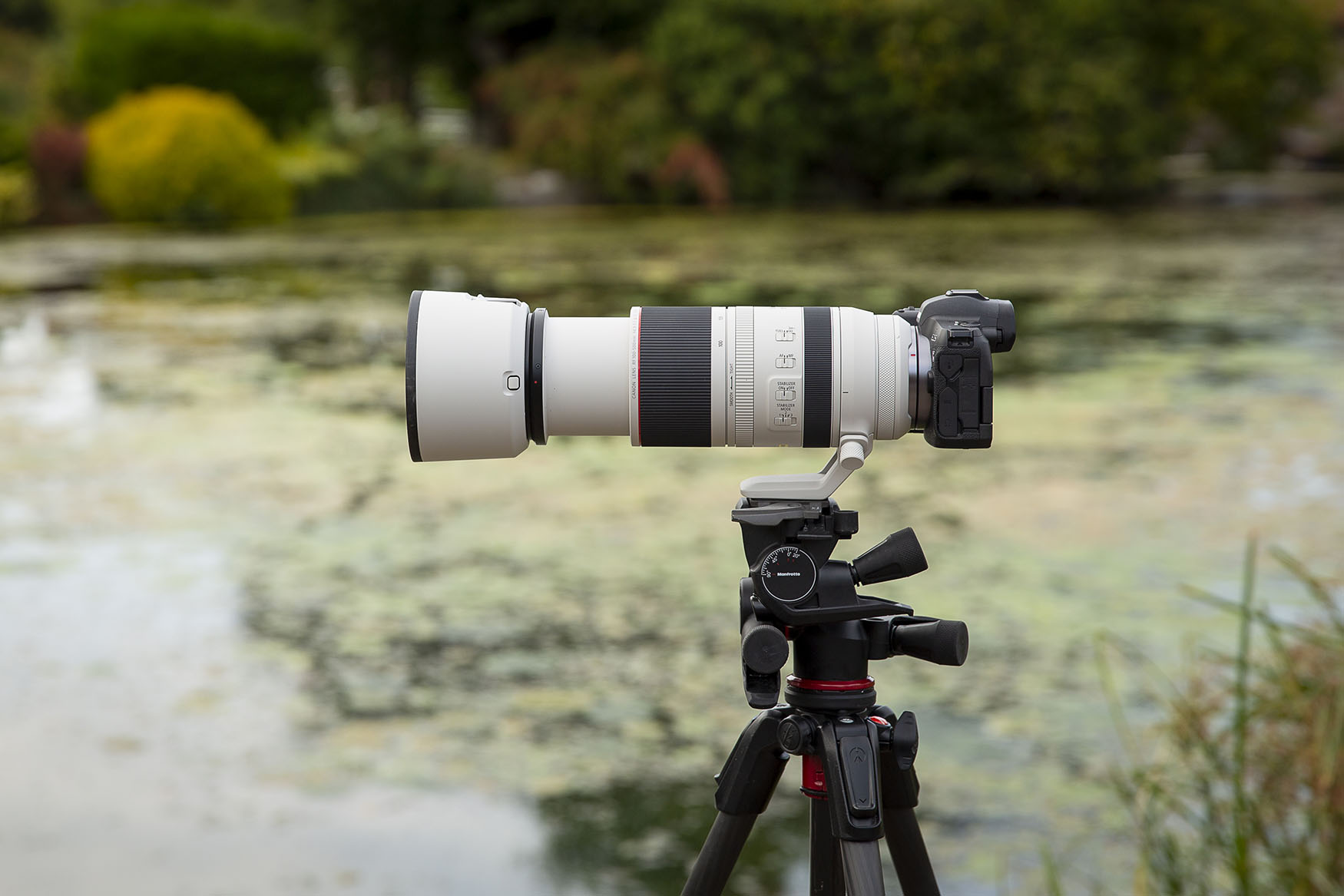 Canon RF 100-500mm f/4.5-7.1L IS USM review