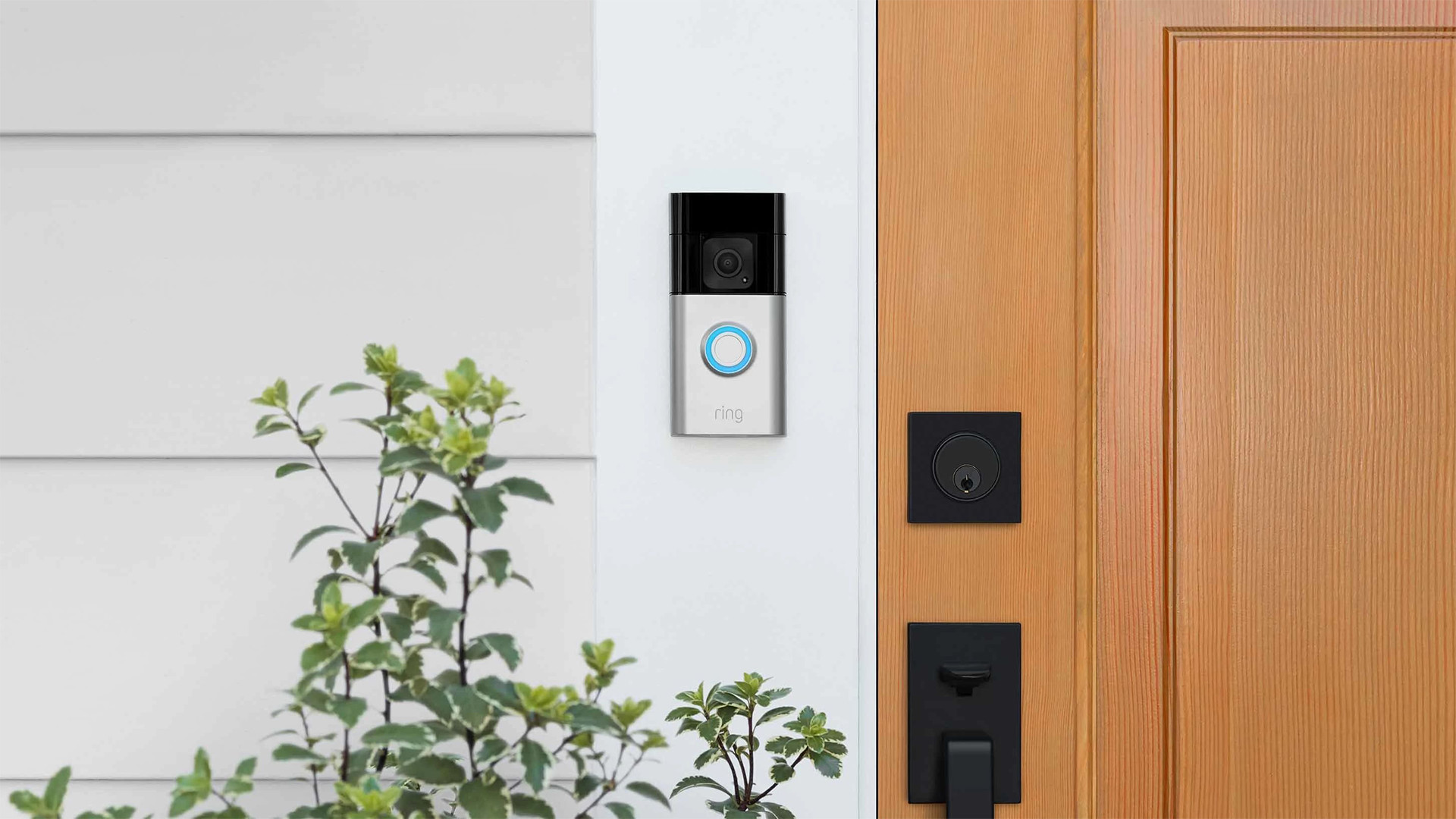 Ring Battery Doorbell Plus outside door