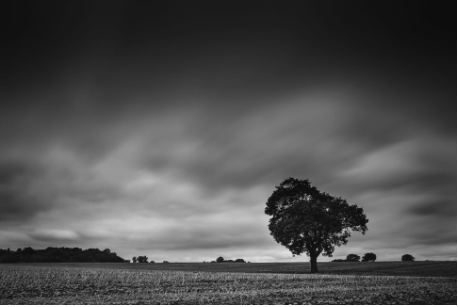 Black and white landscape Canon EOS 5D Mark IV sample image