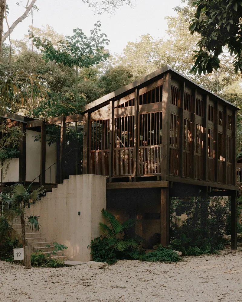 A modernist wooden house up in the trees.