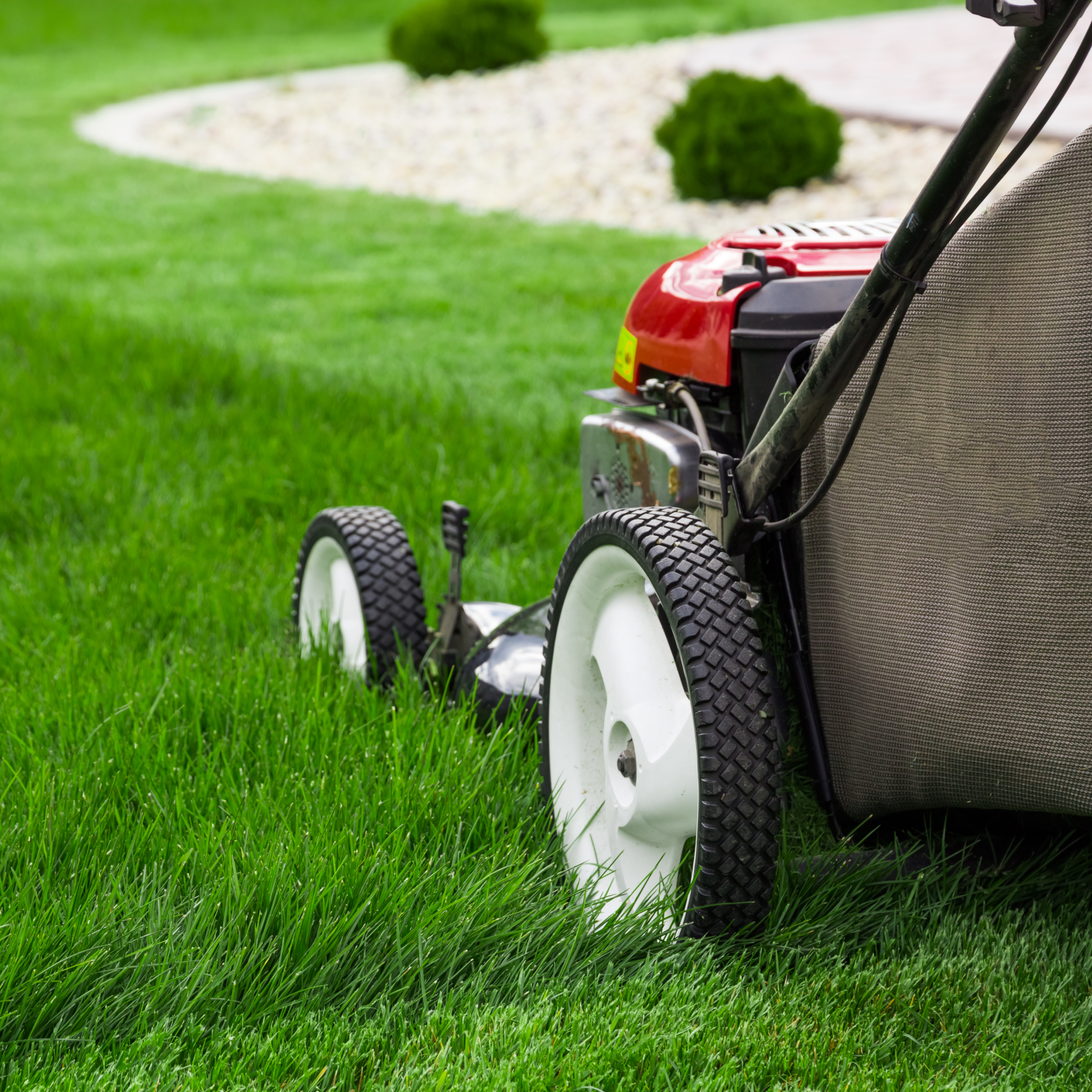 Lawn mower mowing grass