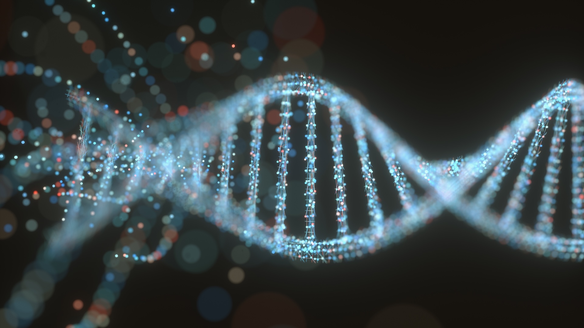 an illustration of DNA