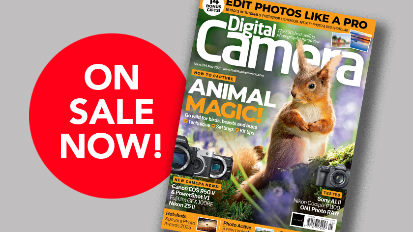 Front cover of issue 294 (May 2025) of Digital Camera magazine and a red blob that reads &#039;On sale now!&#039;