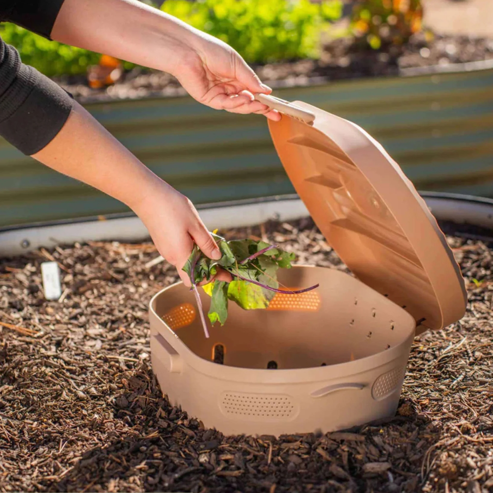 Vego In-Ground Worm Composter