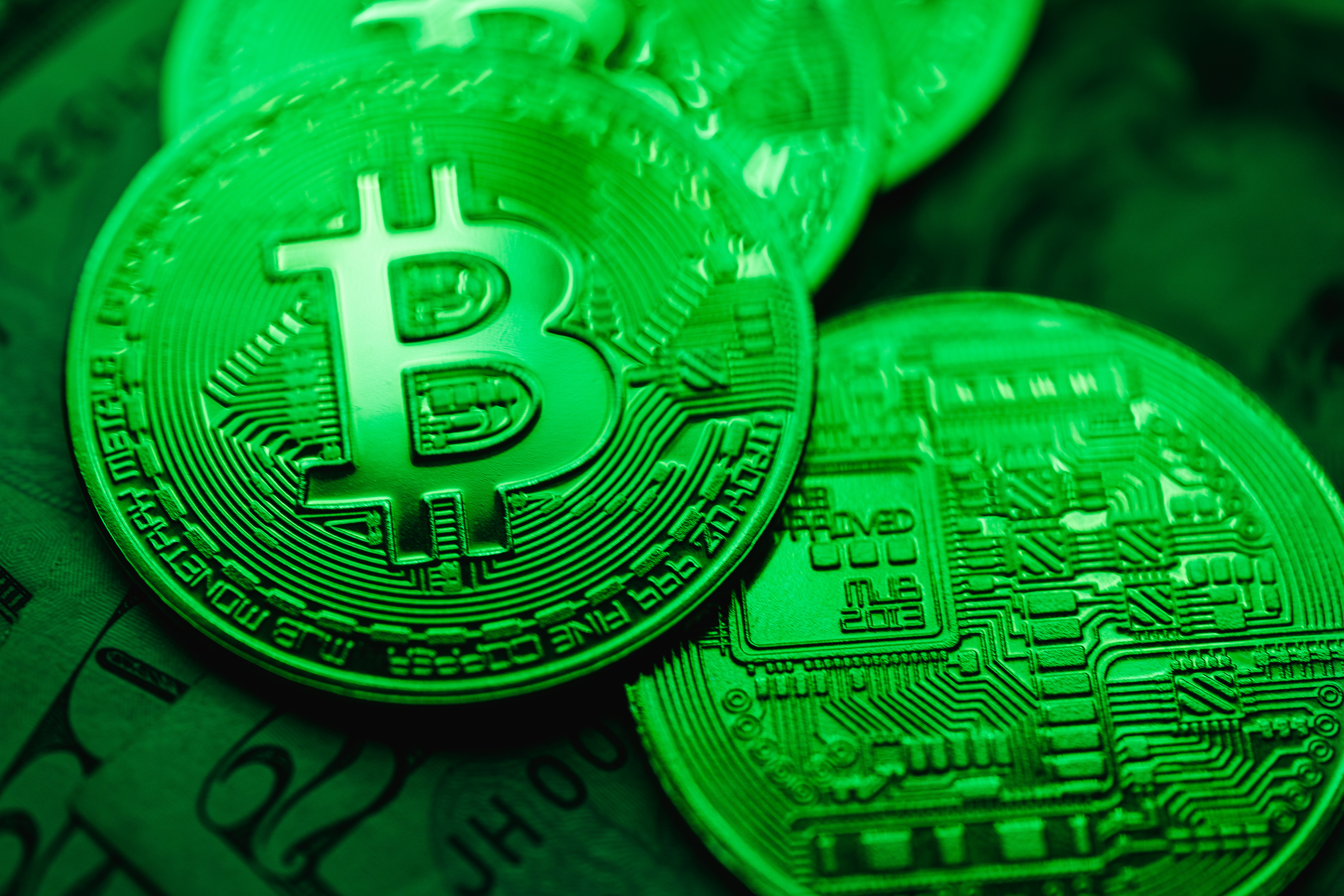 Pexels | Karolina Grabowska; Kryptowährungen im Vergleich. Platzhirsch Bitcoin Vs. Nachzügler Solana