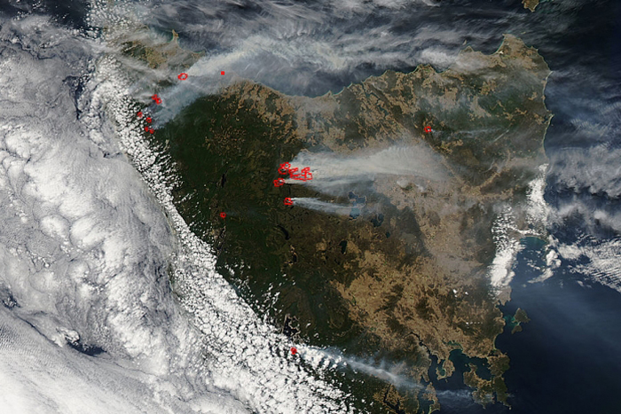 tasmania's bushfires burning Earth's oldest trees