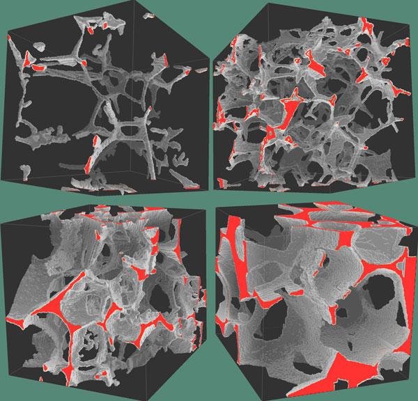 Visualizations of microtomographic data sets from partially molten mantle rocks.